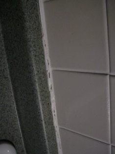 caulking on shower stall