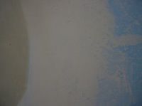 blending the edge of a plaster repair patch