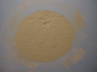 deep plaster repair first coat