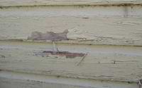 peeling paint from water damage