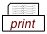 print icon