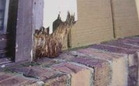 rotted wood trim molding