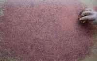 using an opaque sponge painting technique on a wall