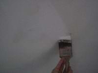 touch-up wall paint