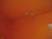 water damaged plaster ceiling