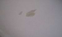 a water stain on a plaster ceiling