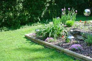 photo of landscape timbers used as garden border