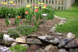 photo of rocks used as garden border