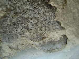 photo bubbling alkali salts efflorescence on a concrete wall photo bubbling alkali salts efflorescence on a concrete wall