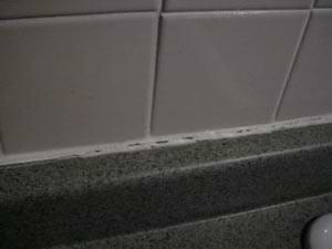 photo cracked caulk along a kitchen countertop photo cracked caulk along a kitchen countertop