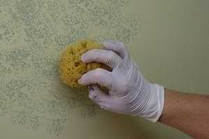photo hand dabbing glaze onto a wall with a sponge photo hand dabbing glaze onto a wall with a sponge