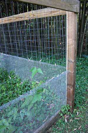 photo vegetable garden fence with two types of mesh wire and wood base photo vegetable garden fence with two types of mesh wire and wood base