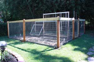 photo of a fenced vegetable garden and plant trellises