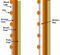 three-coat plaster diagram three-coat plaster diagram