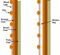 three-coat plaster diagram