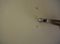 repairing nail pops in drywall repairing nail pops in drywall