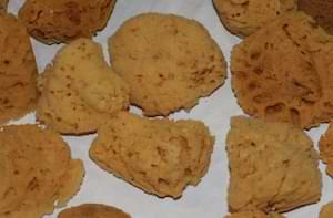 photo of natural sponges for decorative painting photo of natural sponges for decorative painting