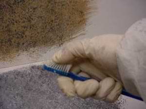 photo demonstrating how to use a toothbrush to apply specks of glaze to a stone faux finish photo demonstrating how to use a toothbrush to apply specks of glaze to a stone faux finish