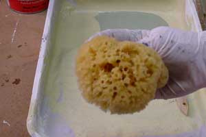 photo demonstrating how to squeeze a natural sponge to expose the crevices photo demonstrating how to squeeze a natural sponge to expose the crevices
