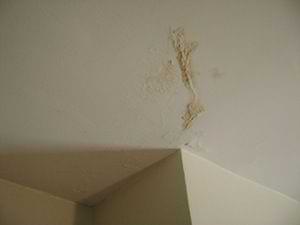 photo bubbling paint and joint compound on a ceiling photo bubbling paint and joint compound on a ceiling