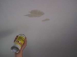photo water stains on a drywall ceiling