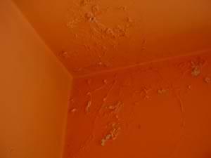 How To Repair Water Damaged Plaster Do It Yourself Help Com