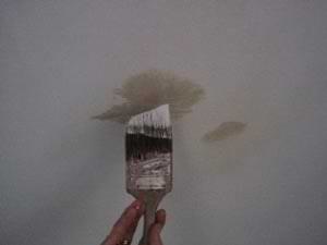 How To Touch Up Wall And Ceiling Paint Do It Yourself Help Com