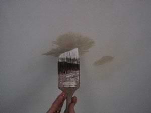 photo demonstrating how to touch up ceiling paint with a brush photo demonstrating how to touch up ceiling paint with a brush